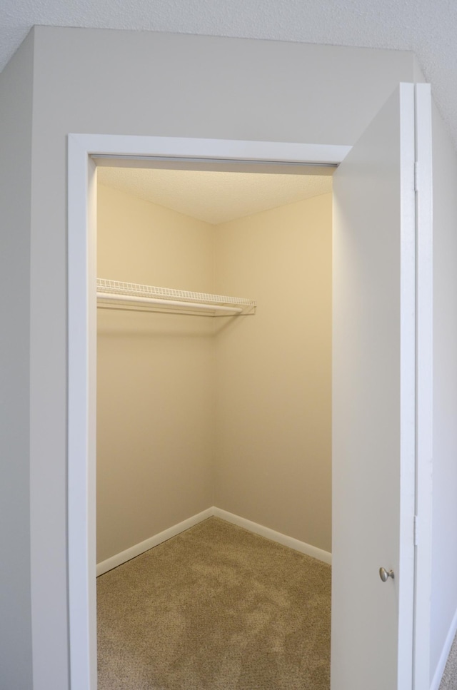 view of closet