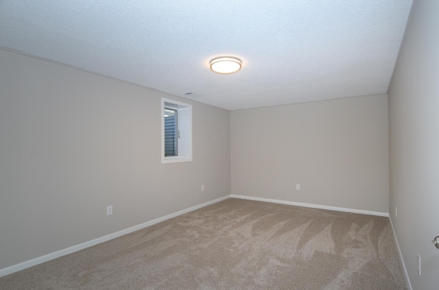 carpeted empty room with baseboards and a textured ceiling