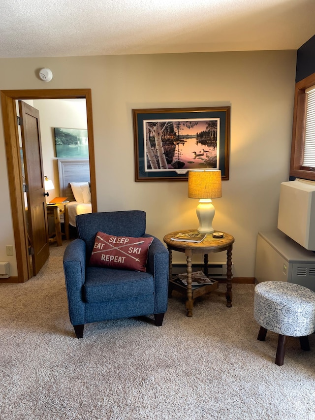 sitting room featuring baseboards, carpet floors, and a textured ceiling