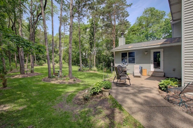 view of yard featuring a patio area