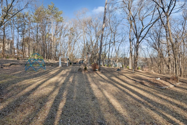 view of yard featuring playground community