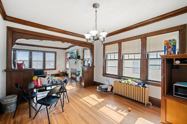 dining room featuring a textured ceiling, crown molding, light wood-style floors, radiator heating unit, and a notable chandelier