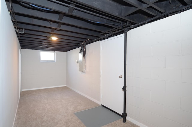 basement with electric panel and carpet floors