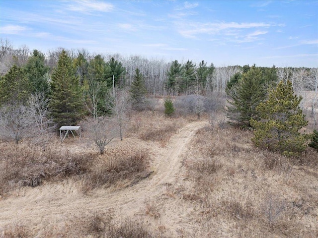 9529- 20th St, Saint Mathias Twp, MN 56449 - view of landscape featuring a view of trees