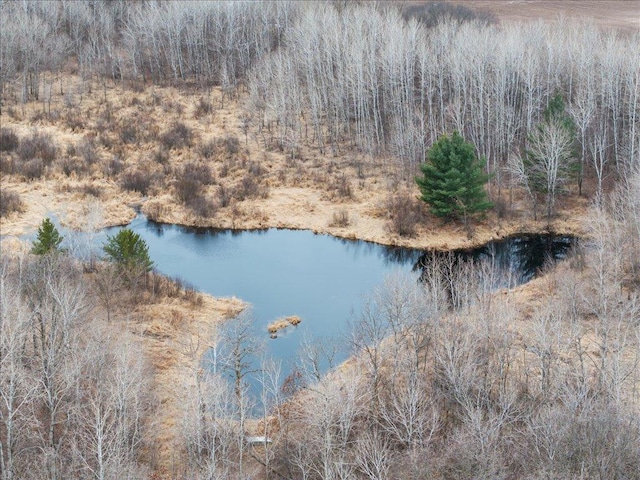 9529- 20th St, Saint Mathias Twp, MN 56449 - view of water feature