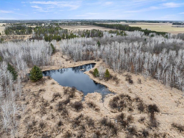 9529- 20th St, Saint Mathias Twp, MN 56449 - bird's eye view with a rural view and a water view