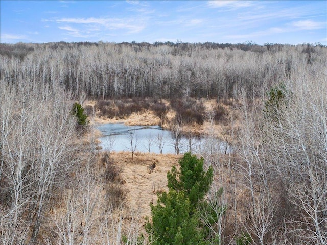 9529- 20th St, Saint Mathias Twp, MN 56449 - view of water feature