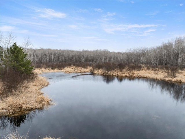 9529- 20th St, Saint Mathias Twp, MN 56449 - water view with a view of trees