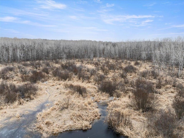 9529- 20th St, Saint Mathias Twp, MN 56449 - view of nature