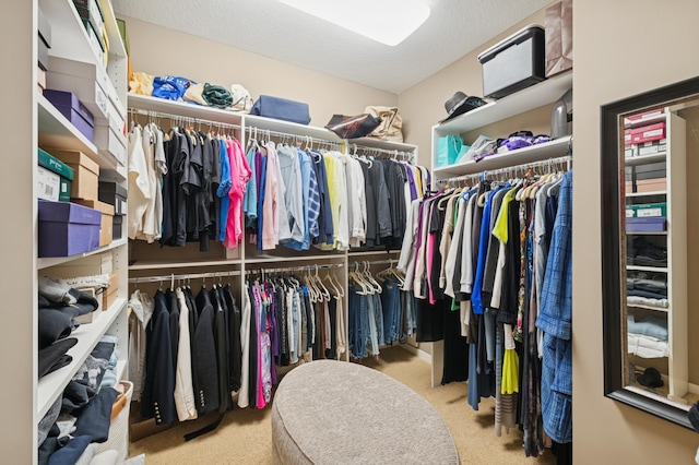 walk in closet with carpet floors