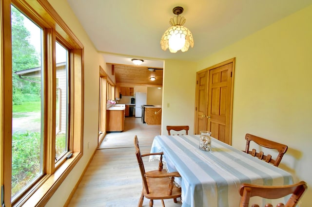 dining area featuring plenty of natural light and light wood-type flooring