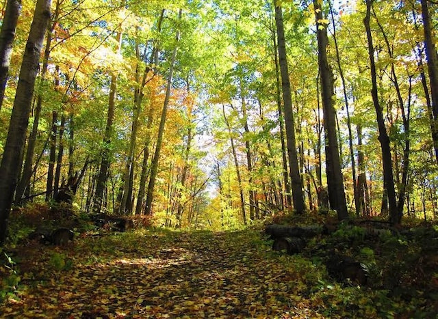 view of landscape featuring a view of trees