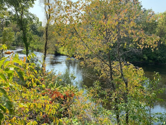 property view of water featuring a forest view