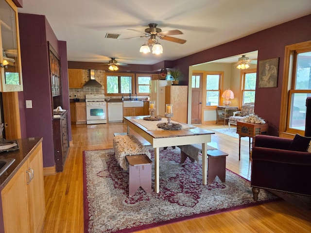 17634 240th St, Hutchinson Twp, MN 55350 - living area featuring light wood-type flooring and a ceiling fan