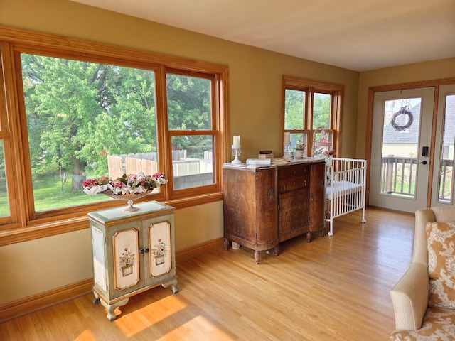 17634 240th St, Hutchinson Twp, MN 55350 - entryway featuring light wood-style floors and baseboards
