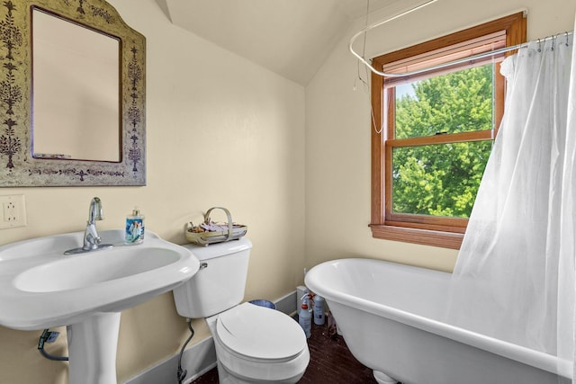17634 240th St, Hutchinson Twp, MN 55350 - bathroom featuring a soaking tub, lofted ceiling, and wood finished floors