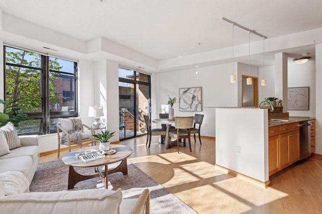 living room featuring light wood-style floors and track lighting
