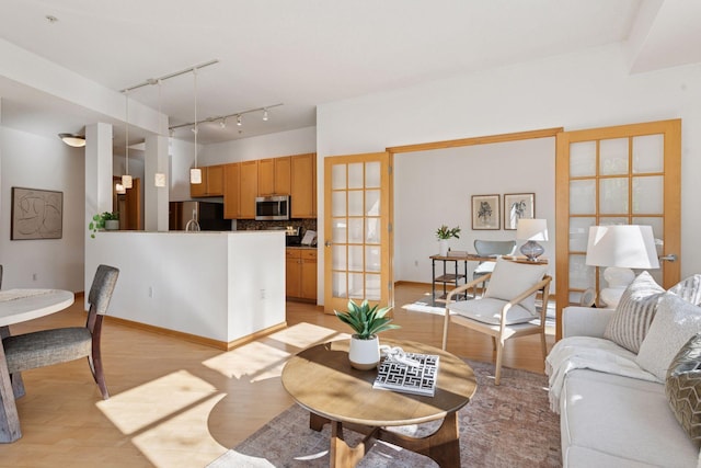 living area featuring light wood-style floors and track lighting