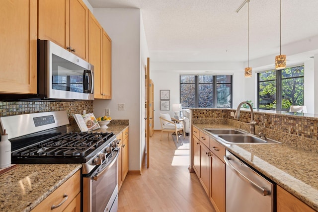 kitchen featuring appliances with stainless steel finishes, tasteful backsplash, hanging light fixtures, a sink, and light wood-style flooring