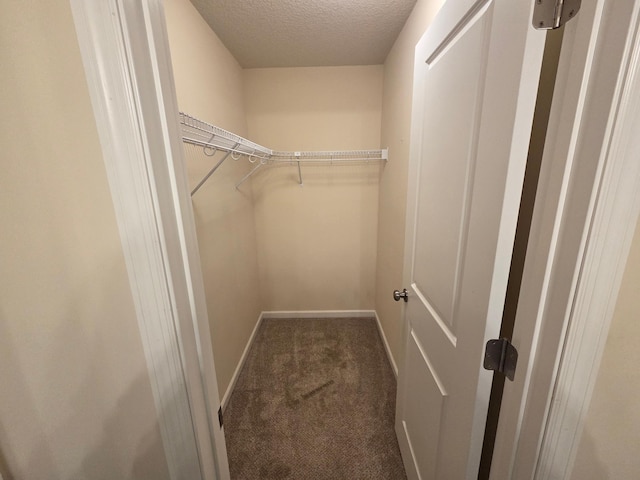 walk in closet with carpet