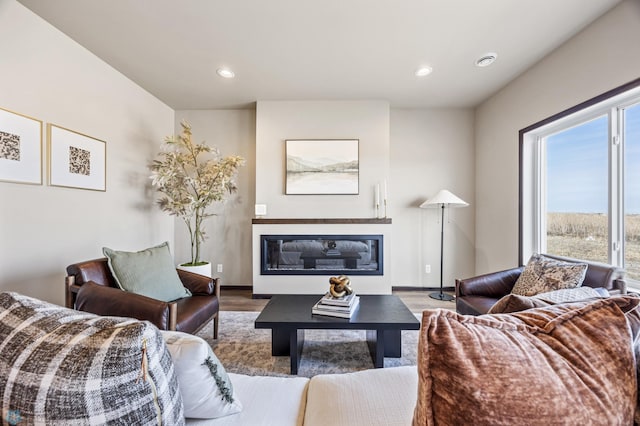 living area featuring recessed lighting, wood finished floors, and a glass covered fireplace