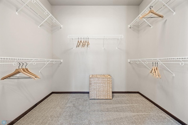 spacious closet with carpet