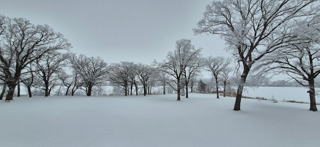 view of yard covered in snow