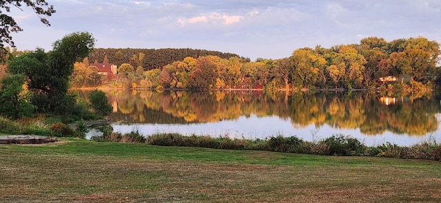 property view of water with a forest view