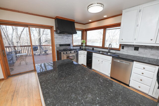 kitchen with backsplash, light wood-style flooring, exhaust hood, stainless steel appliances, and a sink