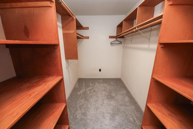 spacious closet with carpet