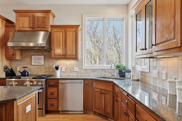 kitchen featuring brown cabinets, a sink, stainless steel appliances, exhaust hood, and a healthy amount of sunlight