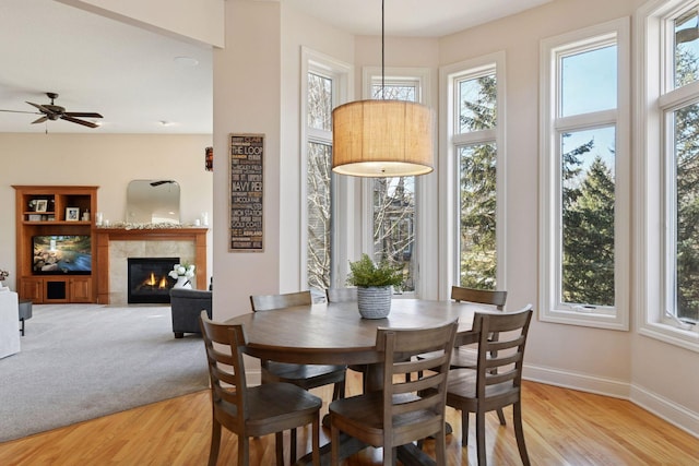 dining space featuring a tiled fireplace, baseboards, light wood finished floors, and ceiling fan