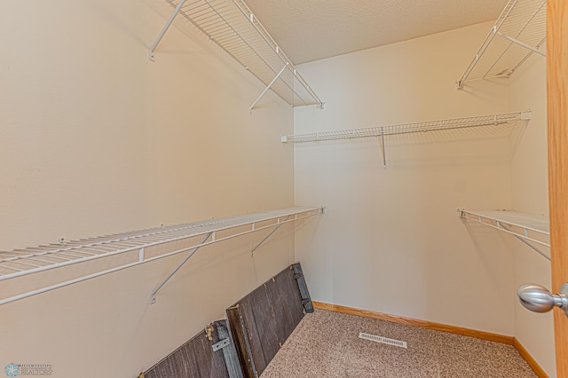 spacious closet with visible vents and carpet floors