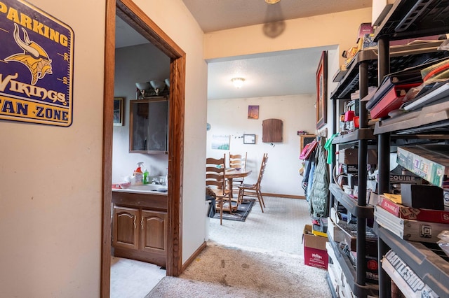 spacious closet featuring a sink and carpet floors