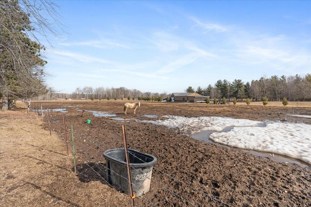 view of yard featuring a rural view