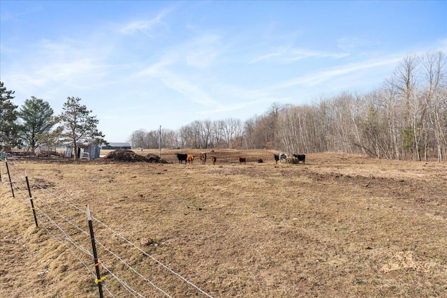 view of yard featuring a rural view