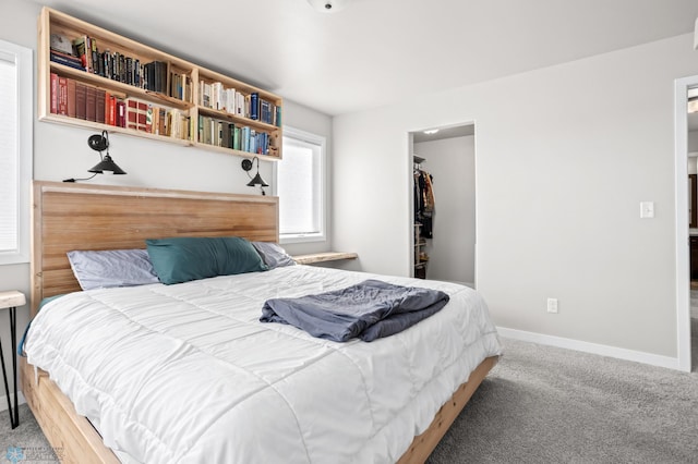 carpeted bedroom with a spacious closet, baseboards, and a closet