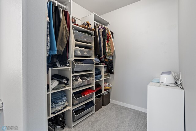 spacious closet featuring carpet flooring