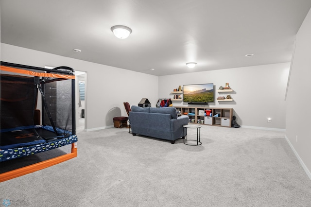 living area with baseboards and carpet floors