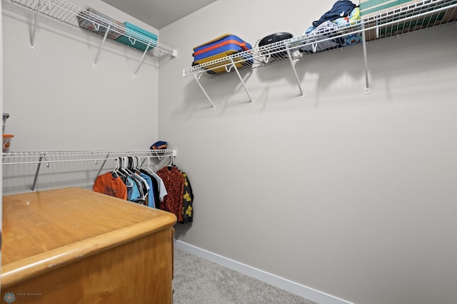 spacious closet featuring carpet floors