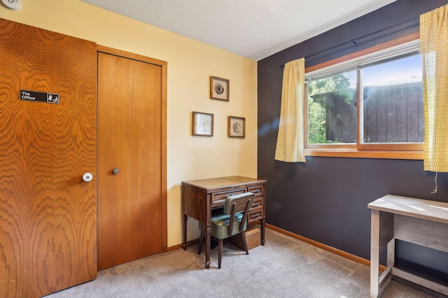 office area featuring baseboards, carpet floors, and a textured ceiling