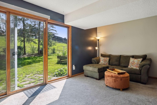 living room featuring baseboards, carpet floors, and a textured ceiling