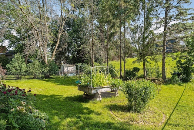 view of yard featuring a vegetable garden and fence