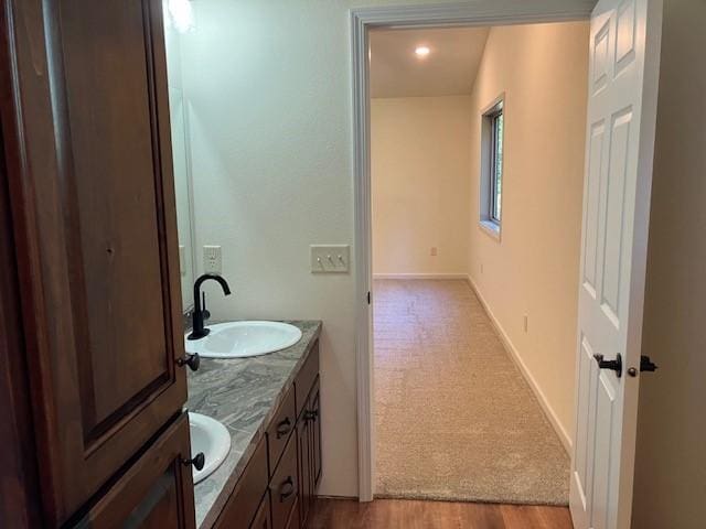 bathroom featuring double vanity, wood finished floors, baseboards, and a sink