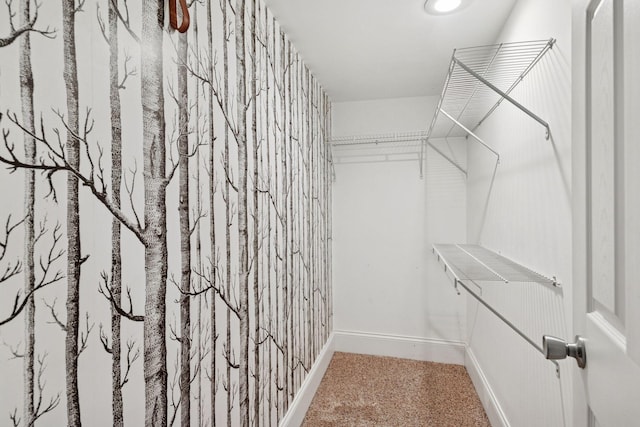 spacious closet featuring carpet floors