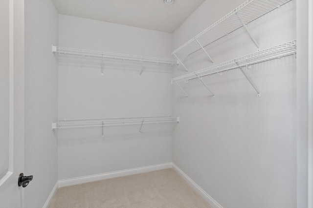 spacious closet with carpet flooring