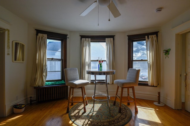 living area with baseboards, radiator heating unit, ceiling fan, and hardwood / wood-style floors