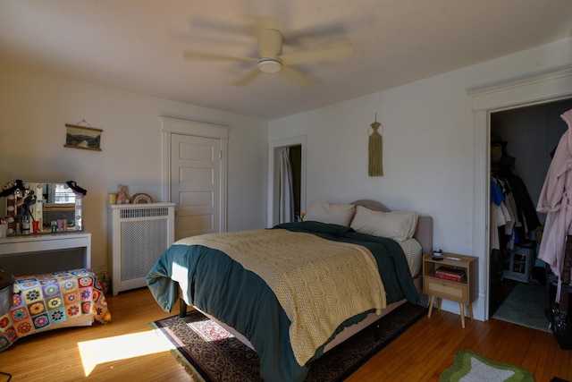 bedroom with radiator, a walk in closet, ceiling fan, wood finished floors, and a closet