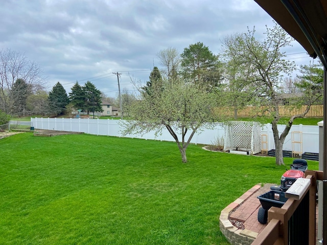 view of yard featuring a fenced backyard