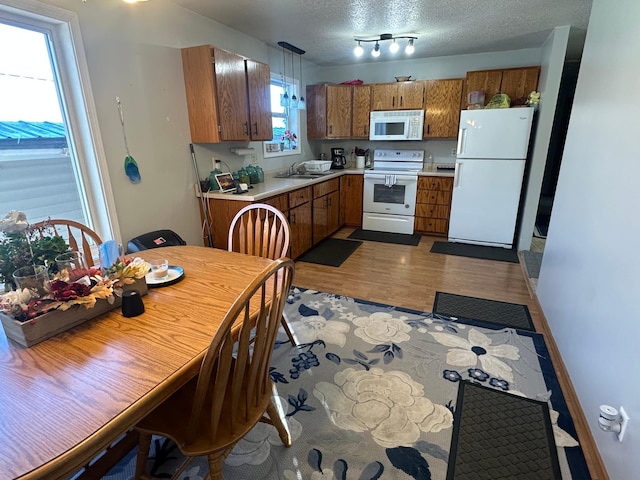 303 Lincoln St SE, Warroad, MN 56763 - photo 4